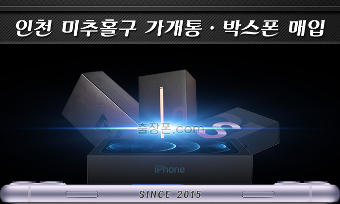 미추홀구 가개통폰, 박스폰